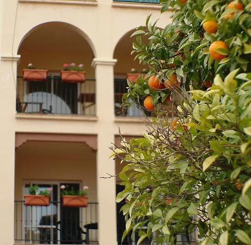 Luxurious Carabeo 2000 1.3 *